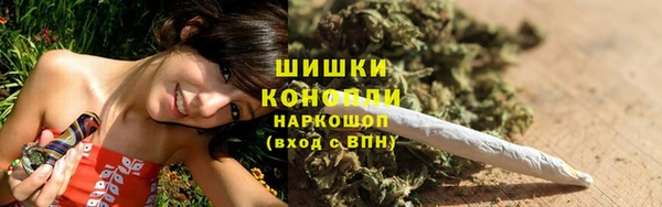 ГАЛЛЮЦИНОГЕННЫЕ ГРИБЫ Гусев