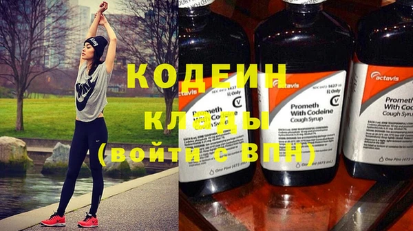 ГАЛЛЮЦИНОГЕННЫЕ ГРИБЫ Гусев