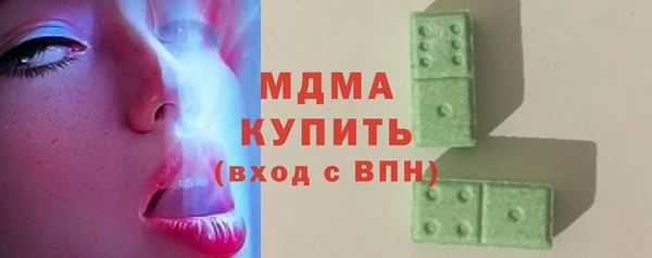 ГАЛЛЮЦИНОГЕННЫЕ ГРИБЫ Гусев
