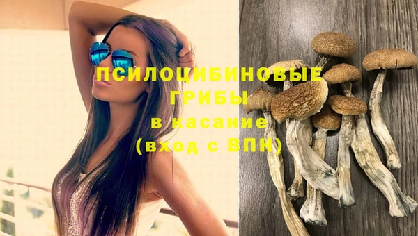 ГАЛЛЮЦИНОГЕННЫЕ ГРИБЫ Гусев