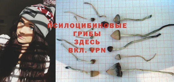эйфоретик Гусиноозёрск