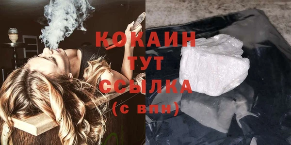 ГАЛЛЮЦИНОГЕННЫЕ ГРИБЫ Гусев