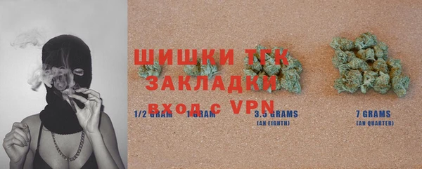 ГАЛЛЮЦИНОГЕННЫЕ ГРИБЫ Гусев